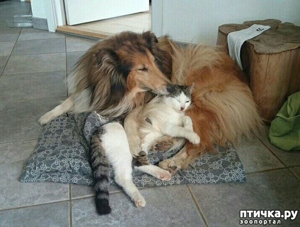 ���� 9: � ���� ���� ���������!