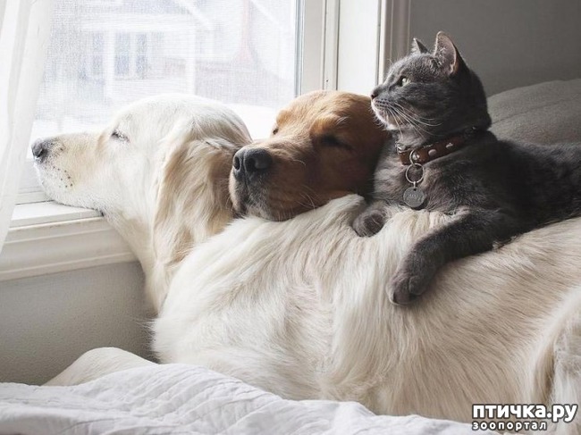 ���� 10: � ���� ���� ���������!