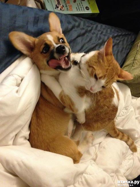 ���� 11: � ���� ���� ���������!