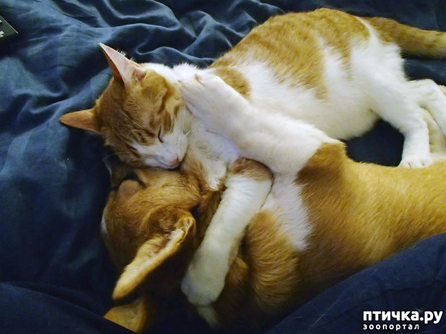 ���� 13: � ���� ���� ���������!