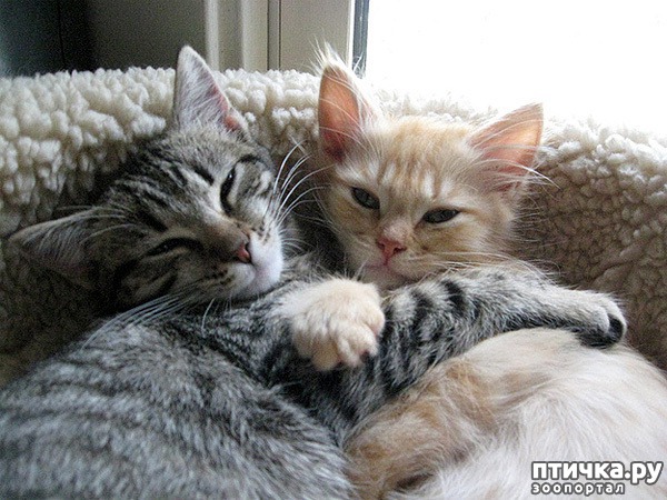 ���� 14: � ���� ���� ���������!