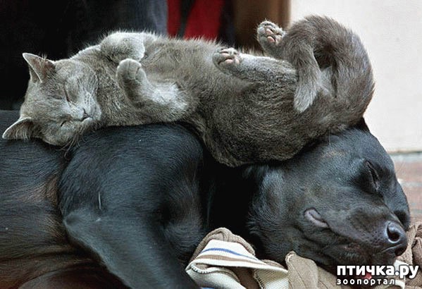 ���� 15: � ���� ���� ���������!