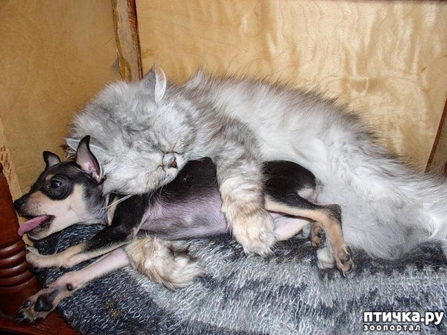 ���� 17: � ���� ���� ���������!