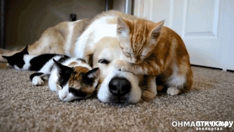 ���� 18: � ���� ���� ���������!