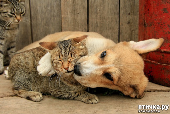 ���� 19: � ���� ���� ���������!