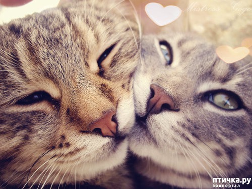 ���� 23: � ���� ���� ���������!