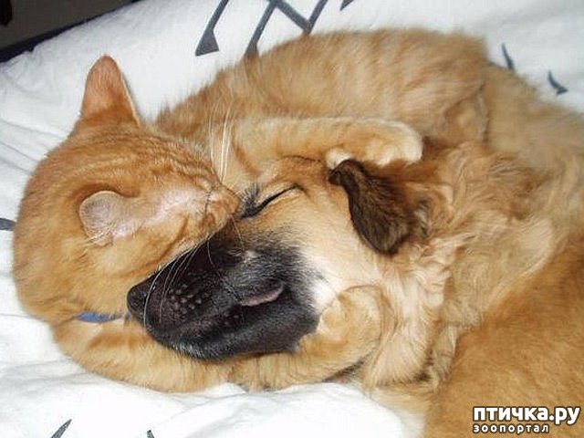 ���� 25: � ���� ���� ���������!