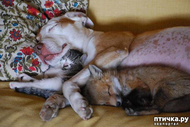 ���� 26: � ���� ���� ���������!