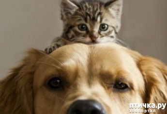 ���� 30: � ���� ���� ���������!