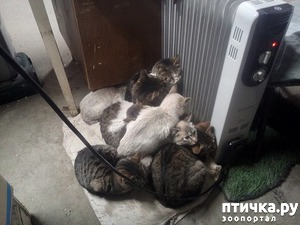 ����: ����� ������ ����� �� �����