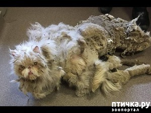 ����: ������� � �������� ������� ����, � ������� �� ����������