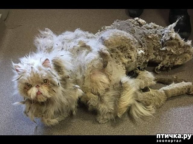 ���� 1: ������� � �������� ������� ����, � ������� �� ����������