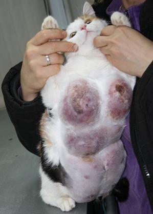 ����: � ����� �����������