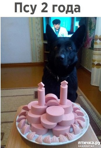 ���� 1: ������ ������� ��� ������ �� �������