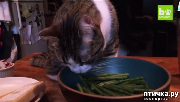 ���� 7: ����� �� ������ �������)