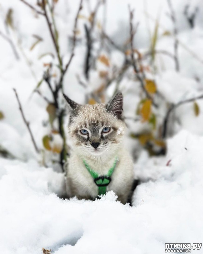 ���� 15: ������� � ������� ������� ����������������)))