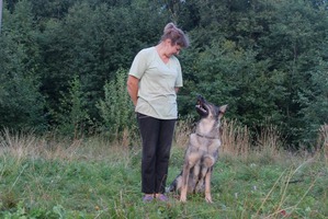 ����: ��������� �������� � �������� ������