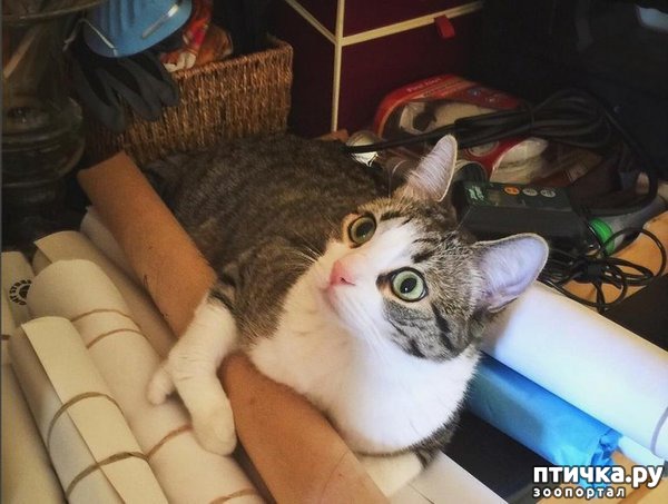 ���� 9: ����� �� ������ �������)