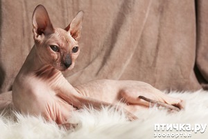 ����: ������� ������ � ����� � ������ �������