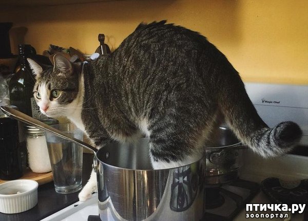 ���� 10: ����� �� ������ �������)