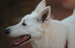 ����: ������ ����� - ��������� � ������������ ����� ������