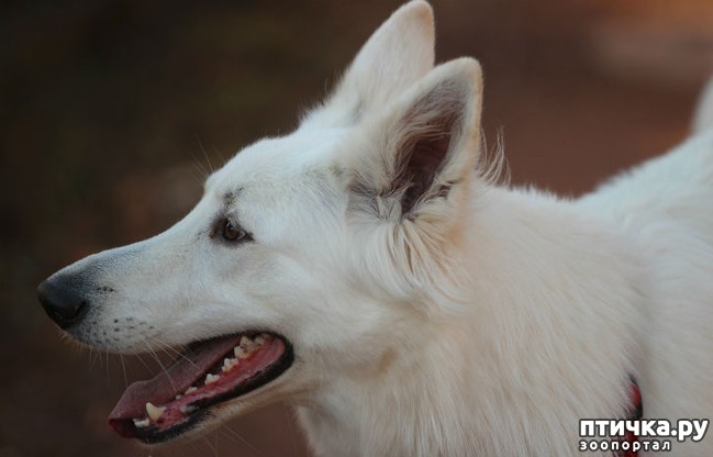 ���� 1: ������ ����� - ��������� � ������������ ����� ������