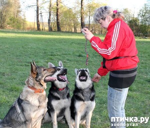 ����: ������� "�� ���" ��� ���� �� ��������� � �������������� ��������.