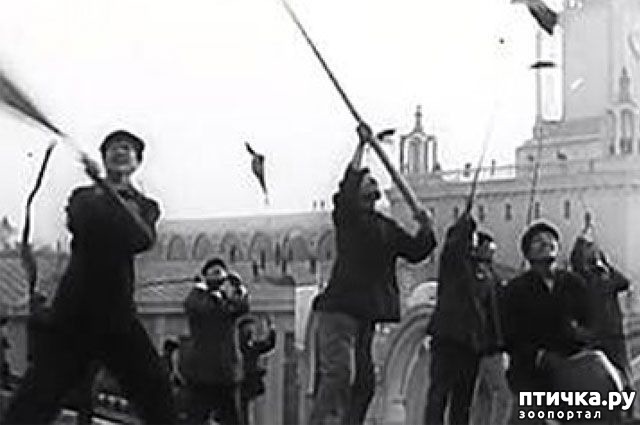 ���� 1: ������ �������. ����� ����������� ����� �������� ����� ����������� ��������...