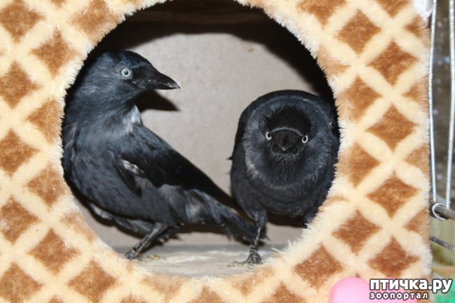 ���� 1: Amiata:������ Amiata�� ������ -������� ��� ����� � ����� (57) � ��� (15) � ���. ��� ������������ � ������������ (7) ������ (6) ���������� (3) �������. (3) �������� (15) ��������������� ��������� (13) ����������� (12) ��������� - ��� ���� (8) ���������? (7) ����� ���� (4) ������ �� �������� ���������� ������ ������ � ��� (2) � ������ � ������ (2) -����� ��� (5) C������, ������ � Styx (���-�����) 