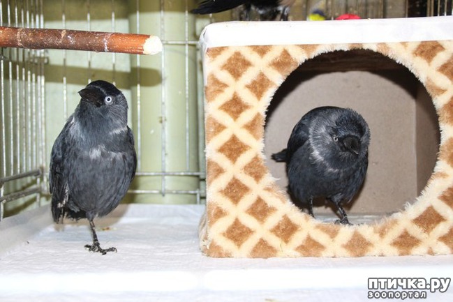 ���� 2: Amiata:������ Amiata�� ������ -������� ��� ����� � ����� (57) � ��� (15) � ���. ��� ������������ � ������������ (7) ������ (6) ���������� (3) �������. (3) �������� (15) ��������������� ��������� (13) ����������� (12) ��������� - ��� ���� (8) ���������? (7) ����� ���� (4) ������ �� �������� ���������� ������ ������ � ��� (2) � ������ � ������ (2) -����� ��� (5) C������, ������ � Styx (���-�����) 