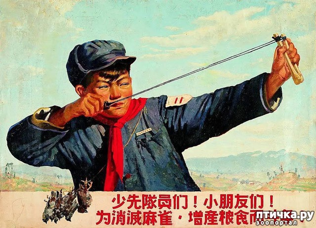 ���� 2: ������ �������. ����� ����������� ����� �������� ����� ����������� ��������...