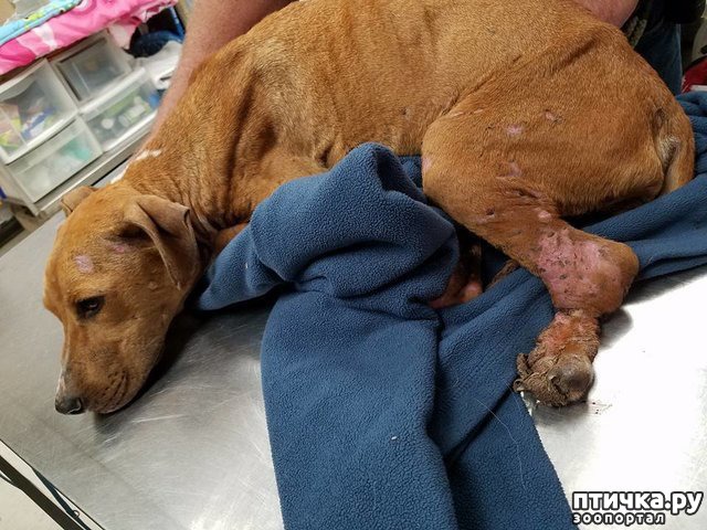 ���� 1: ��� ��������, ���� ������ � ������