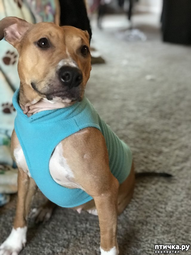 ���� 2: ��� ��������, ���� ������ � ������