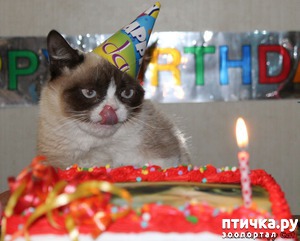 ����: ��������� �����������, ���� ������������!