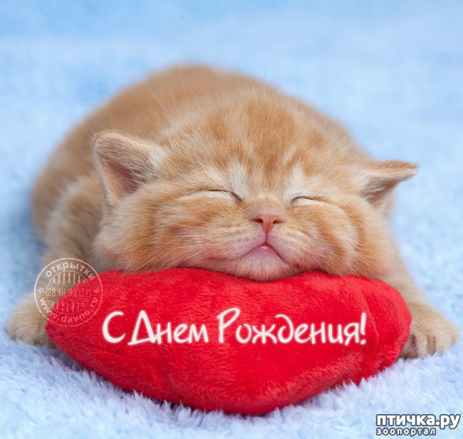 ���� 5: ��������� �����������, ���� ������������!