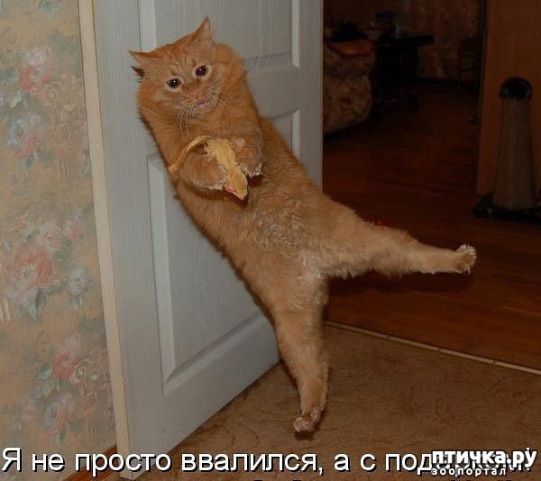 ���� 7: ��������� �����������, ���� ������������!