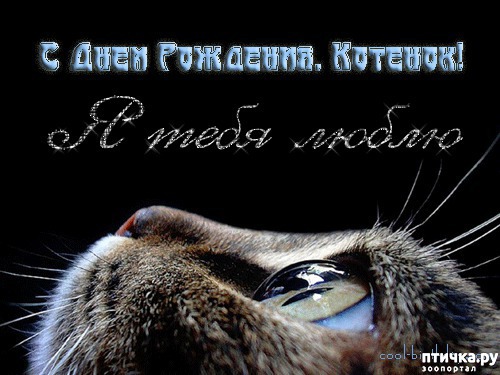 ���� 9: ��������� �����������, ���� ������������!