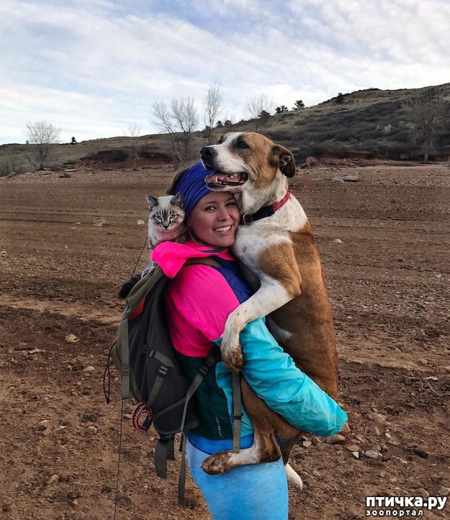 ���� 1: ������� � ������� ������� ����������������)))