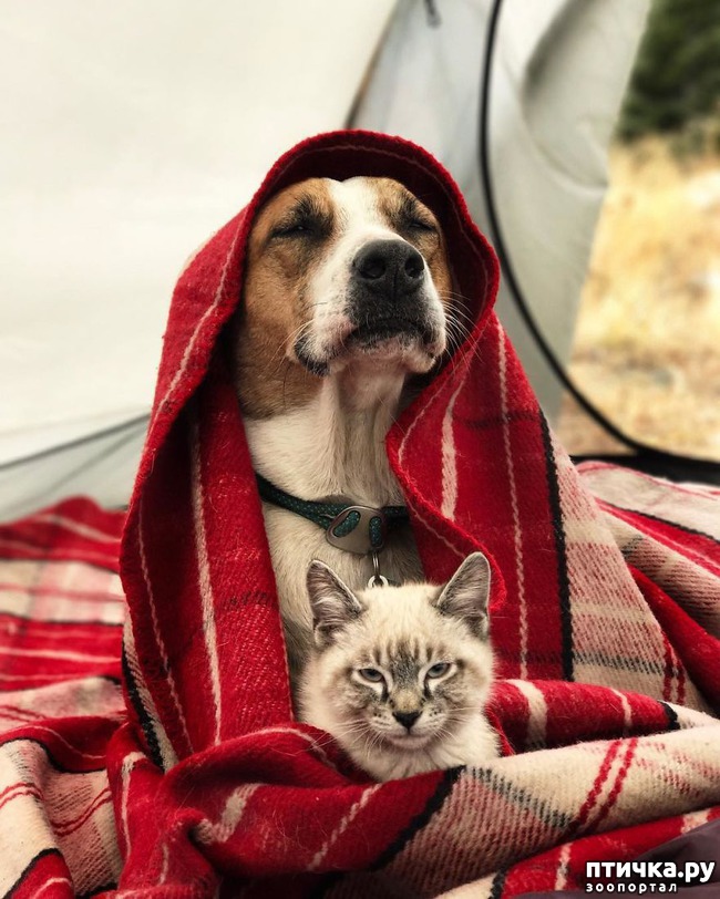 ���� 7: ������� � ������� ������� ����������������)))