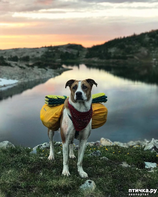 ���� 10: ������� � ������� ������� ����������������)))