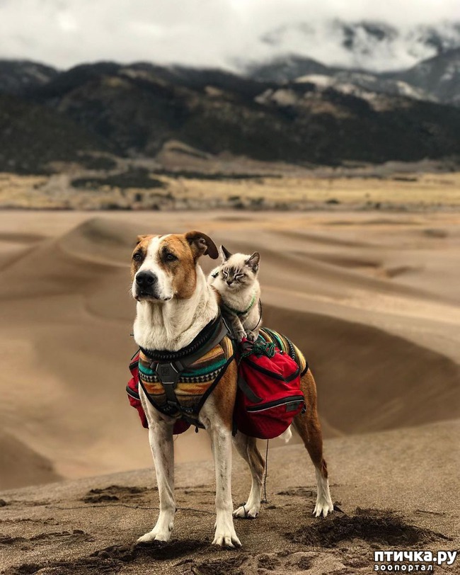 ���� 12: ������� � ������� ������� ����������������)))