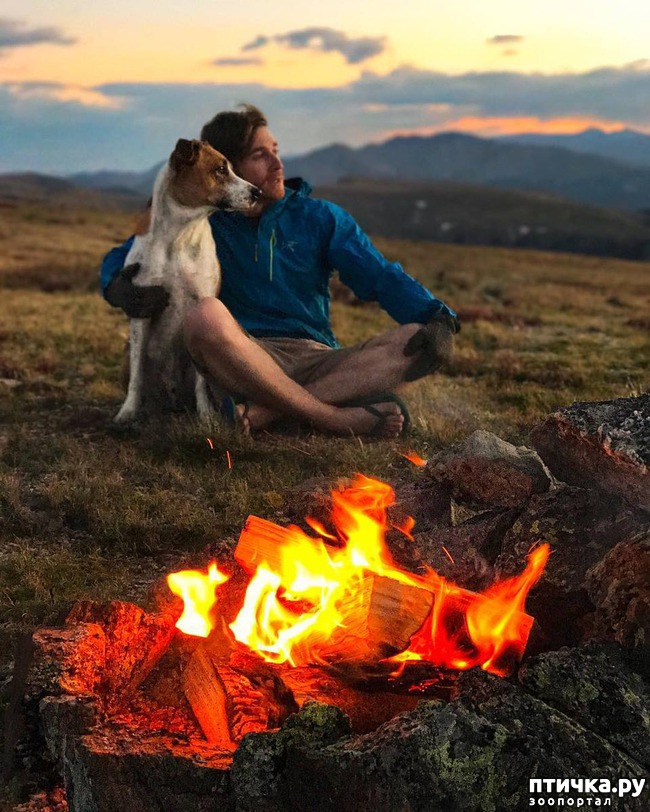 ���� 13: ������� � ������� ������� ����������������)))