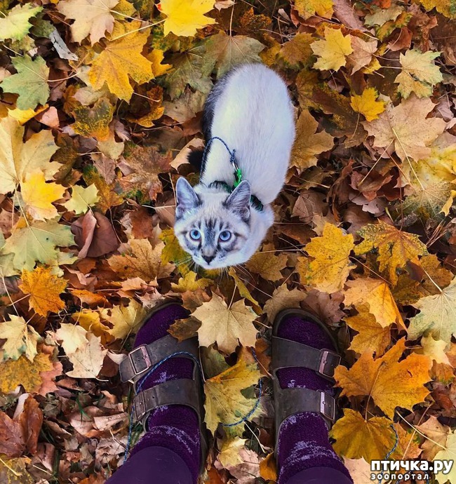 ���� 4: ������� � ������� ������� ����������������)))