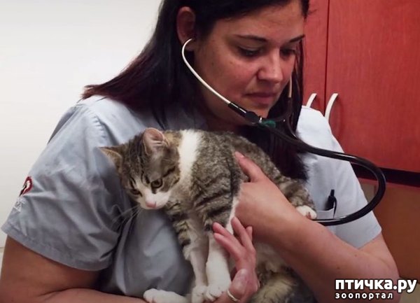 ���� 1: ����� �� ������ �������)