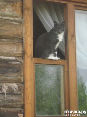 ����: ���� ��� �� ������ ����� � �������.