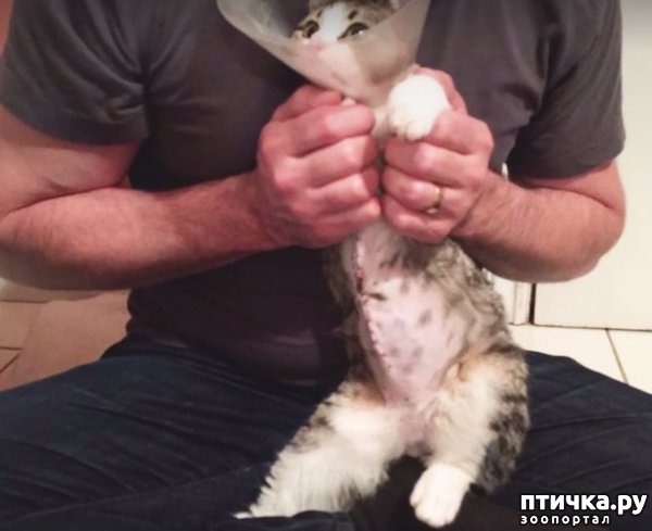 ���� 2: ����� �� ������ �������)