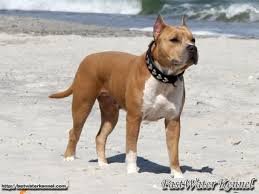 ���� 1: �� ������ �����, ������ ������ ����� ������