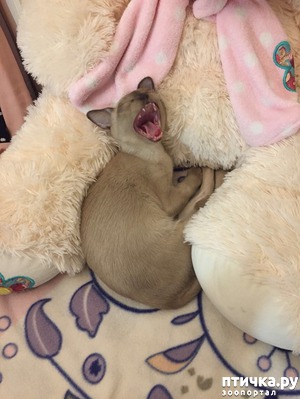 ����: ��� ����� �������� � ���� ��������