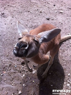 ����: ������� � ����� �������� -1