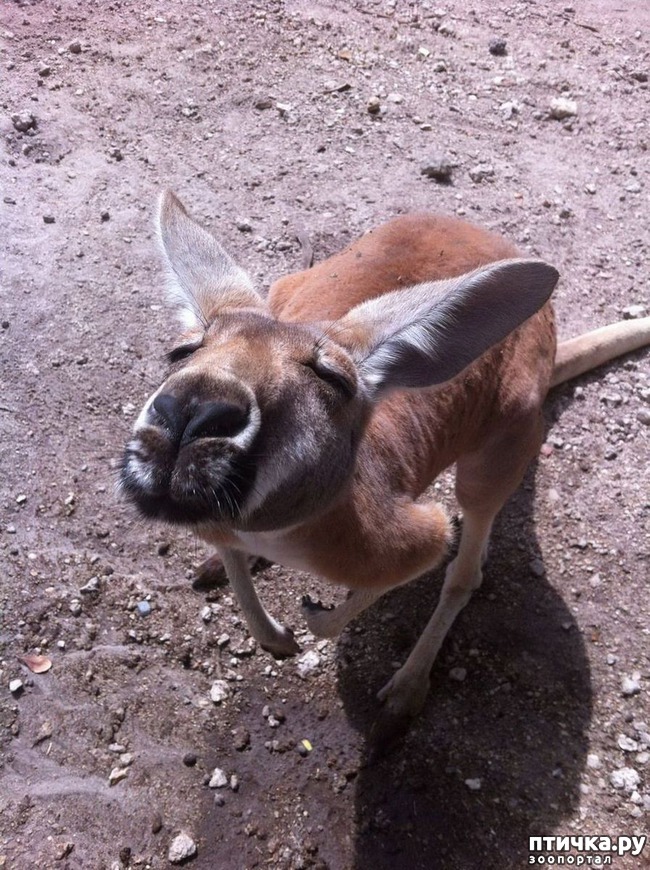 ���� 1: ������� � ����� �������� -1